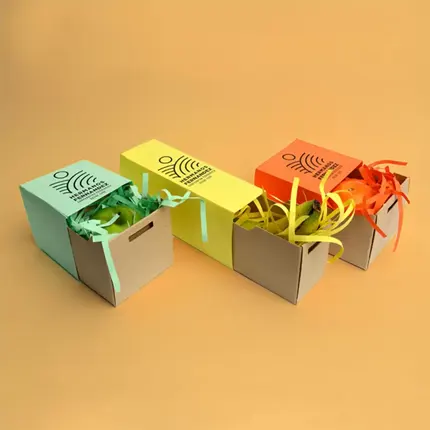 Cardboard Sleeve Box