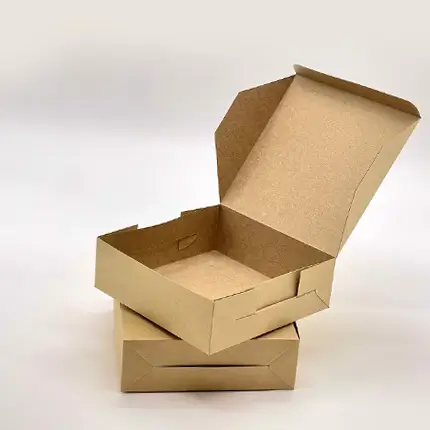 Custom Kraft Mailer Boxes