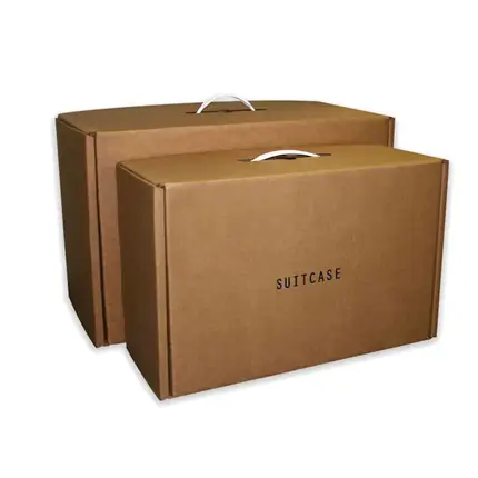 Shipping Suitcase Box
