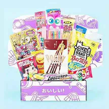 Snack Subscription Box Wholesale